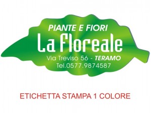 Etichette adesive grandi per fioristi, fiorai e vivaisti (mm 72x30)  (cod.85G)